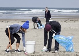 people picking up trash at a beach