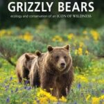 cover of book Yellowstone Grizzly Bears: Ecology and Conservation of an Icon of Wildness