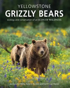 cover of book Yellowstone Grizzly Bears: Ecology and Conservation of an Icon of Wildness