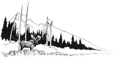 drawing of bull moose and mountain range