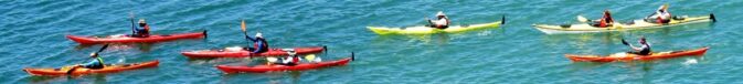 seven kayaks on a bay