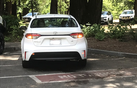 car parked next to pavement that has no parking painted on it
