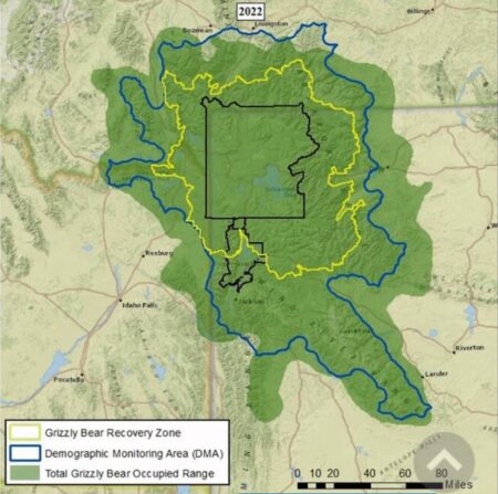 map of where grizzly bears lived in 2022